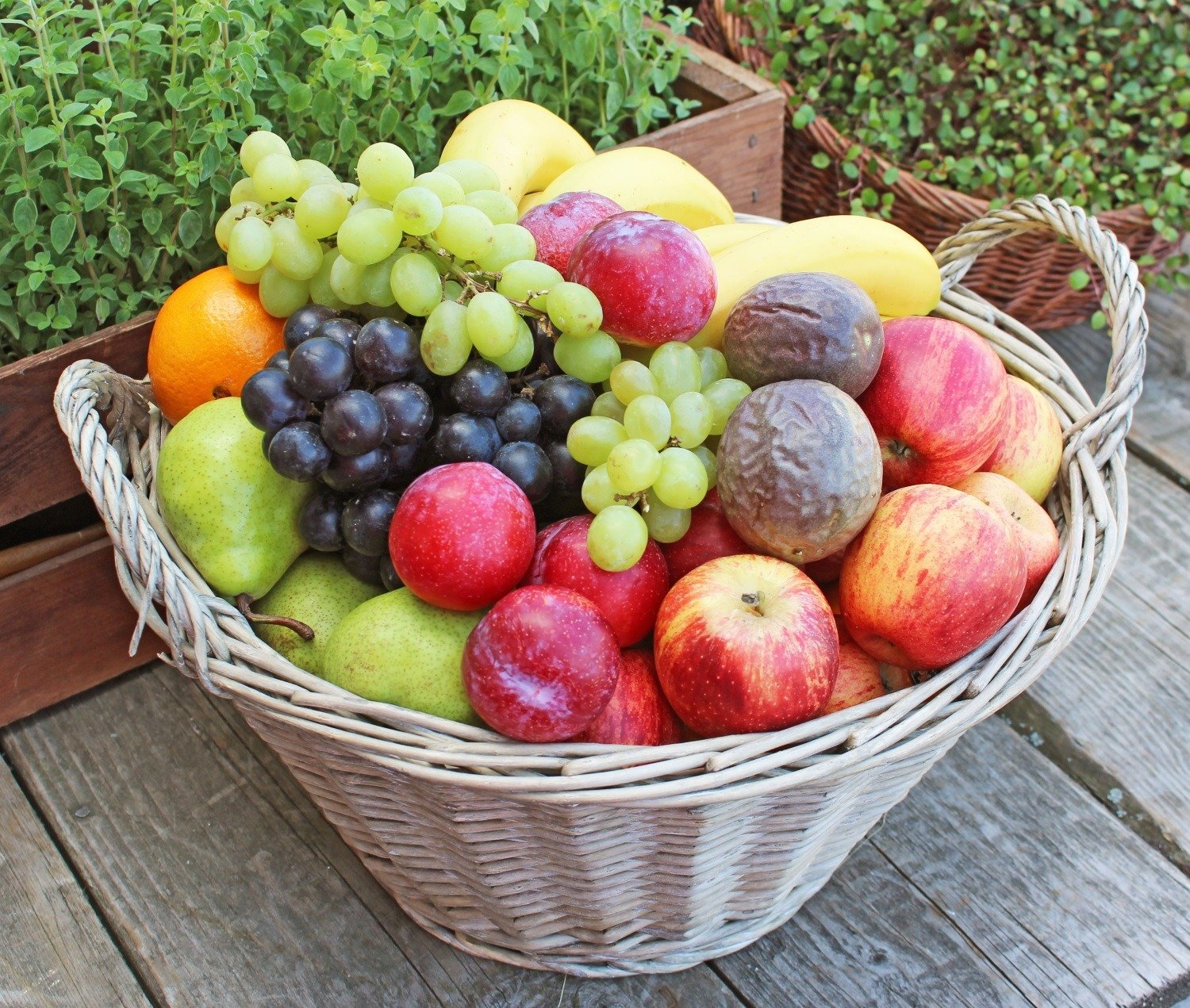 En full fruktkorg med bananer, druvor, plommon, äpplen och päron